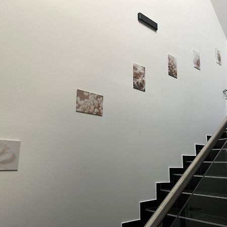 Paky Appartements 00323 莱塔河畔布鲁克 外观 照片